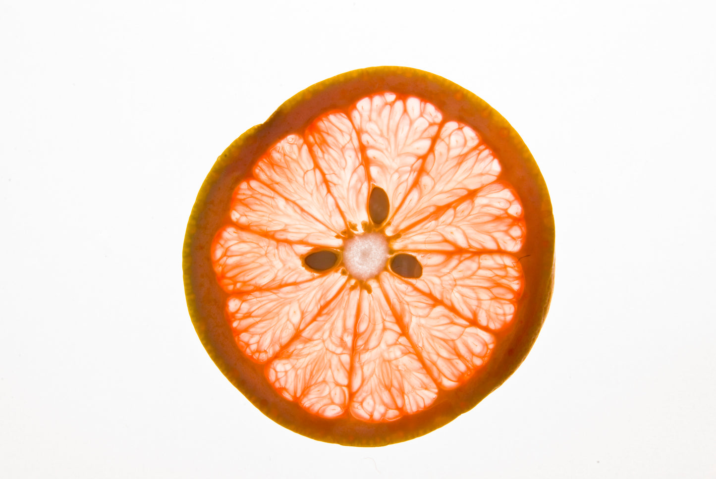 Dehydrated Grapefruit