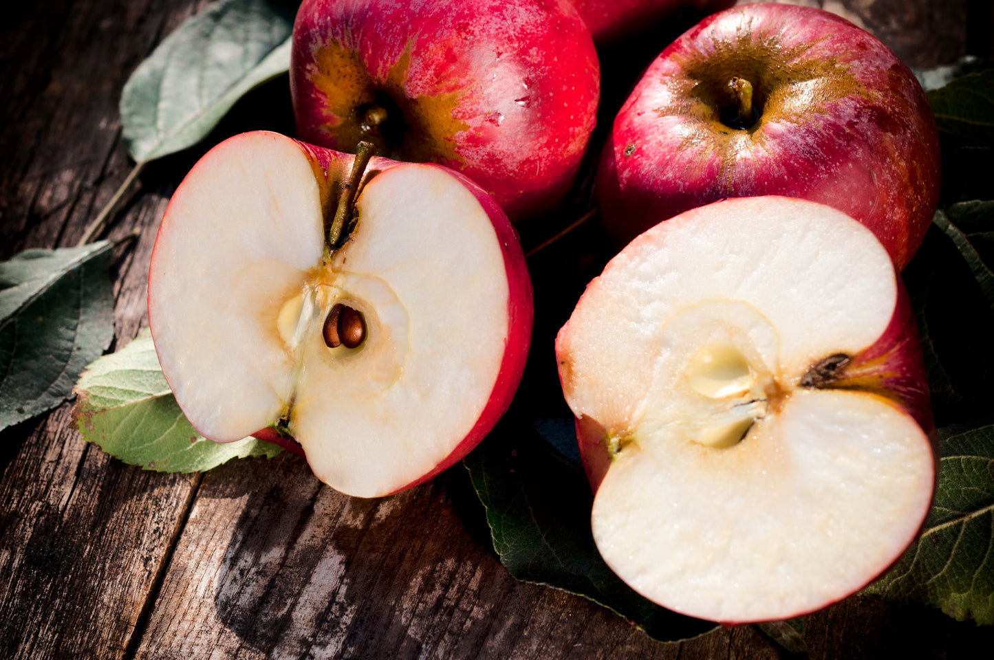 Dehydrated Apple