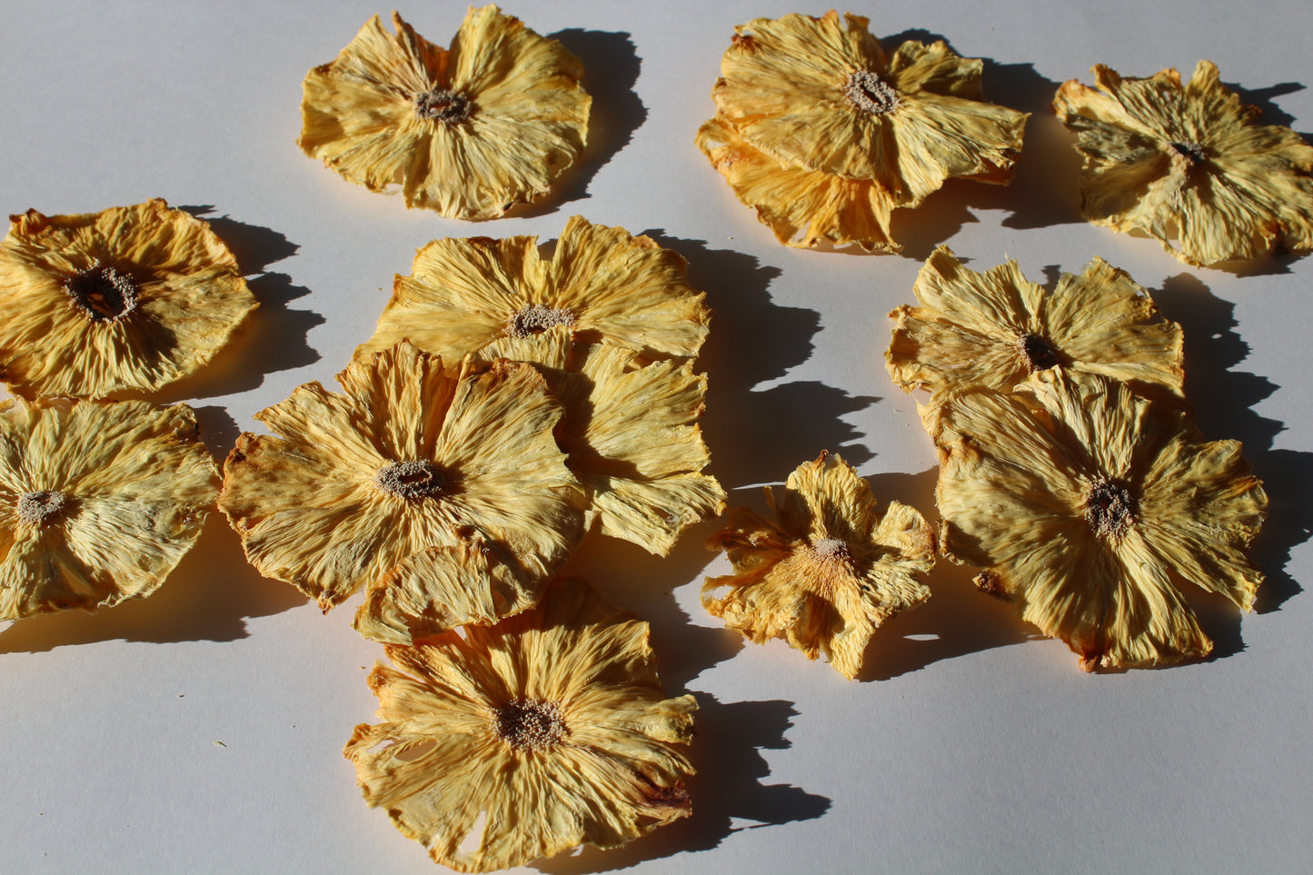 Dehydrated Pineapple