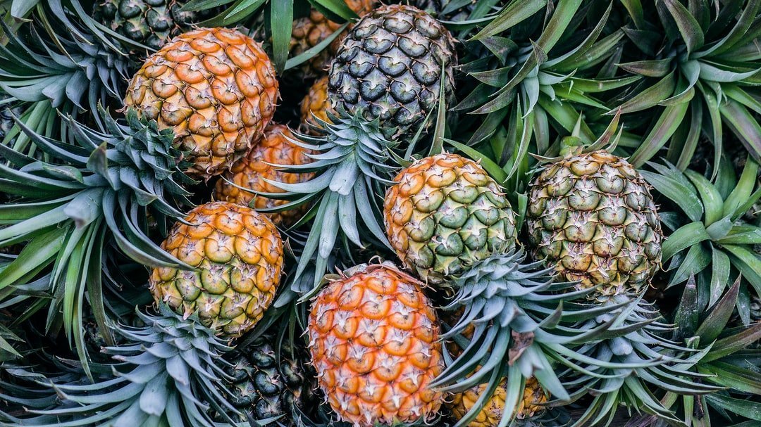 Dehydrated Pineapple